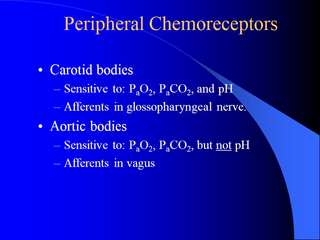 Peripheral Chemoreceptors Carotid bodies Sensitive to: PaO2, PaCO2, and pH Afferents in glossopharyngeal nerve.